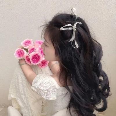 风暴之乡的黛丝